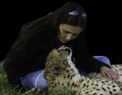Katgeveg oor wildplaaspark duur voort